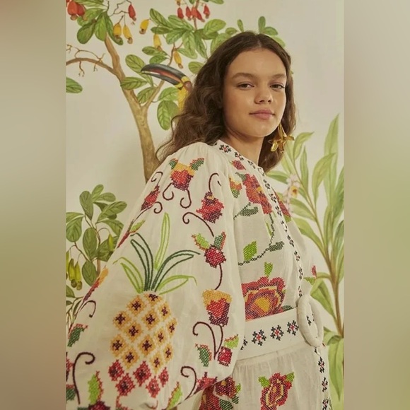 FARM Rio Dresses & Skirts - FARM Rio Multicolor Embroidered Dress